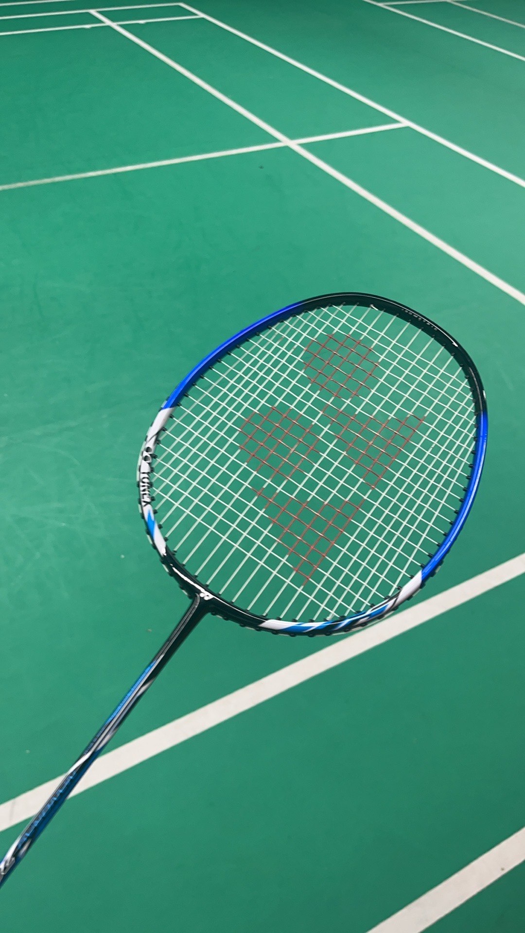 稳定的状况 稳定的状况